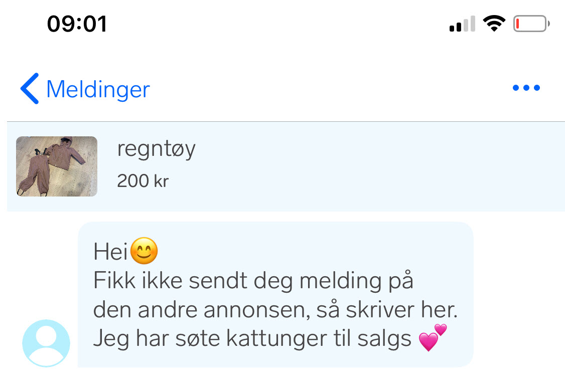 Eksempel på Ønskes kjøpt svindel.jpg